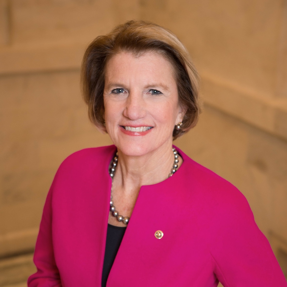 Senator Capito Senator West Virginia Official Photo Senator Capito Senator West Virginia Official Photo