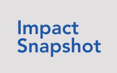 Impact Snapshot 2023