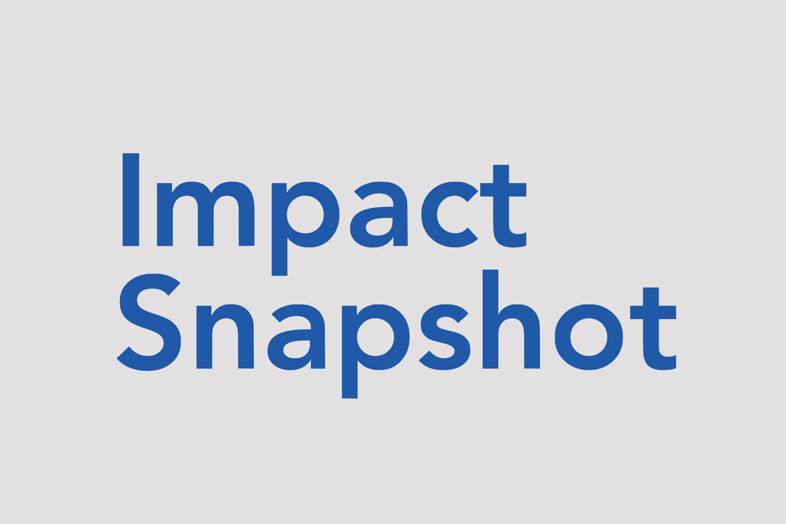 Impact Snapshot 2023